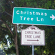 Illustration for article titled Christmas Tree Lane Hosts The Oldest Holiday Display In The World